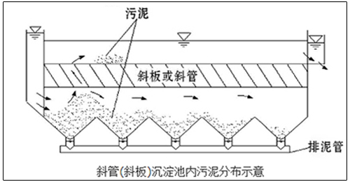 斜管沉淀池內(nèi)污泥分布圖