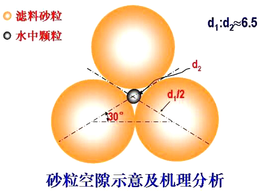 砂?？障妒疽饧皺C(jī)理分析