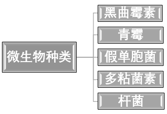 石英砂微生物浸出提純工藝